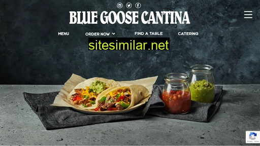 bluegoosecantina.com alternative sites