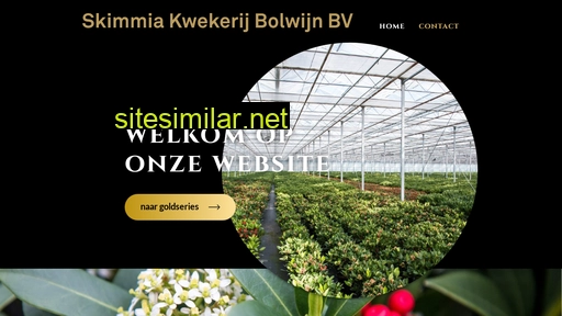 bolwijn.com alternative sites