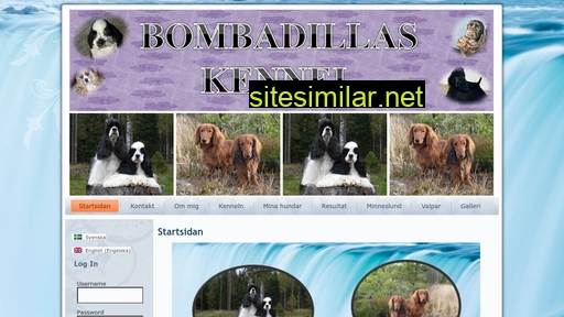 bombadillas.com alternative sites