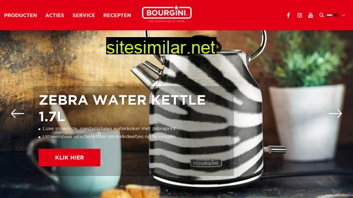 bourgini.com alternative sites