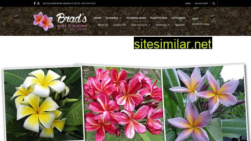 Bradsbudsandblooms similar sites