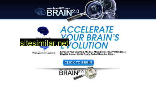 brain2020.com alternative sites