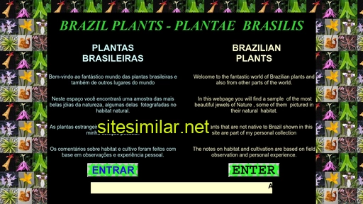 Brazilplants similar sites