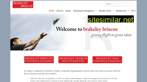brakeleybriscoe.com alternative sites