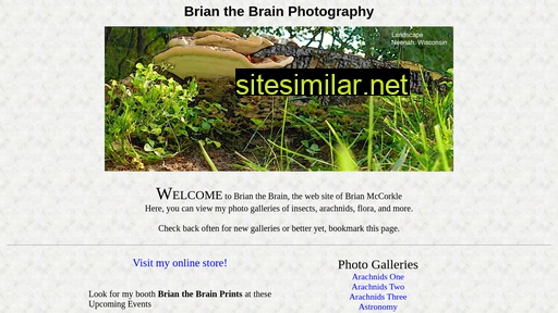 brianthebrain.com alternative sites