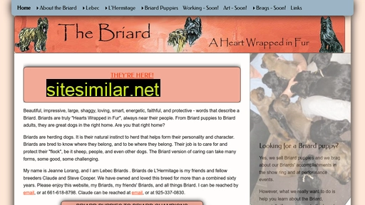 briard.com alternative sites