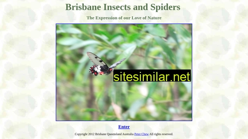Brisbaneinsects similar sites
