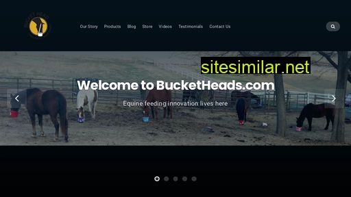 Bucketheads similar sites