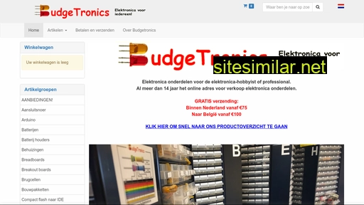budgetronics.com alternative sites