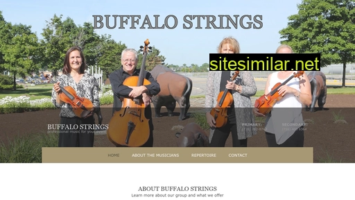 buffalostrings.com alternative sites
