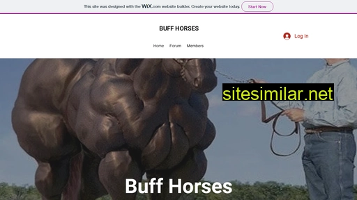 buffhorses.com alternative sites