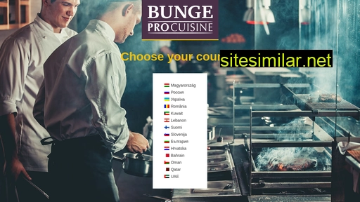 bungepro.com alternative sites