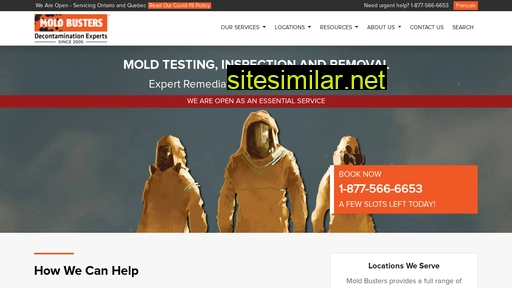 bustmold.com alternative sites