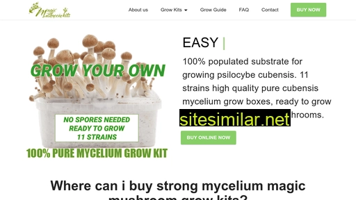 buy-magic-mushroom-kits.com alternative sites