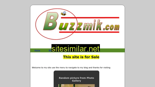 buzzmik.com alternative sites