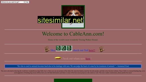 cableann.com alternative sites