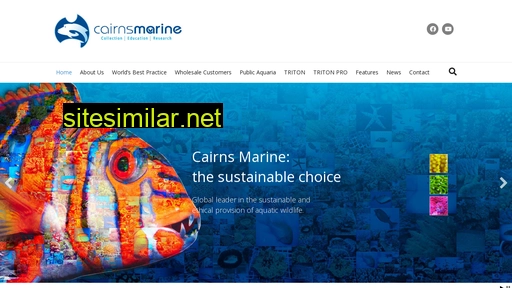 cairnsmarine.com alternative sites