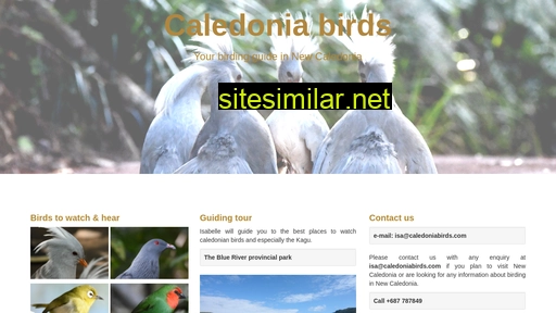 Caledoniabirds similar sites