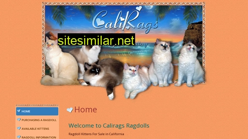 calirags-ragdolls.com alternative sites