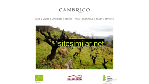 cambrico.com alternative sites