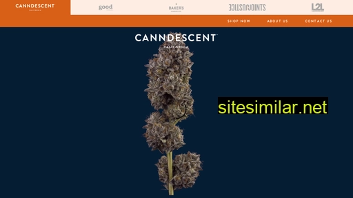canndescent.com alternative sites