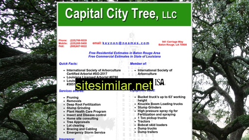 capitalcitytree.com alternative sites
