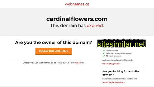 cardinalflowers.com alternative sites