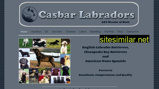 casbarlabs.com alternative sites