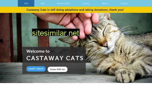 castawaycatsde.com alternative sites