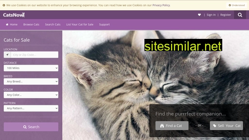 catsnow.com alternative sites