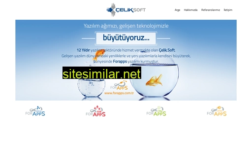 celiksoft.com alternative sites