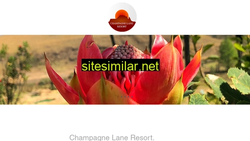 Champagnelaneresort similar sites