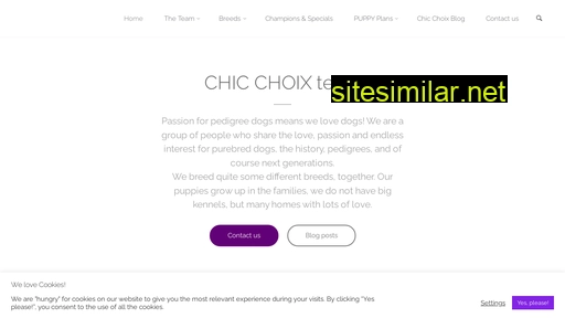 chicchoix.com alternative sites