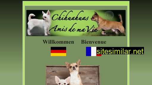 Chihuahua-amisdemavie similar sites