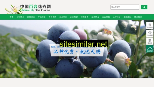 China-lily similar sites
