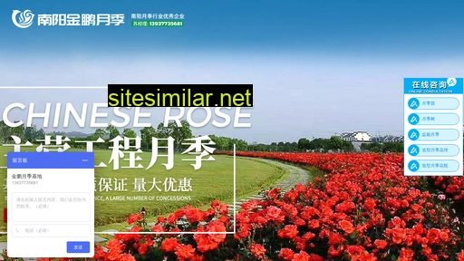 Chinese-rose similar sites