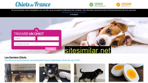 Chiots-de-france similar sites