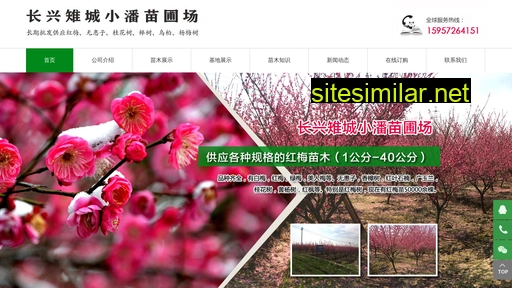 china-chengchao.com alternative sites