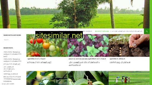 chingamasam.com alternative sites