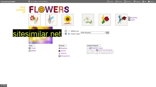 chromazoneflowers.com alternative sites