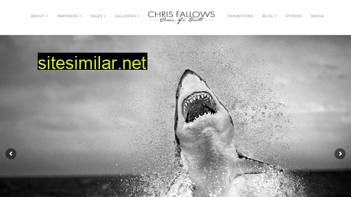 chrisfallows.com alternative sites