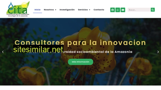 cita-amazonia.com alternative sites