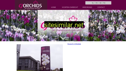 cjorchids.com alternative sites