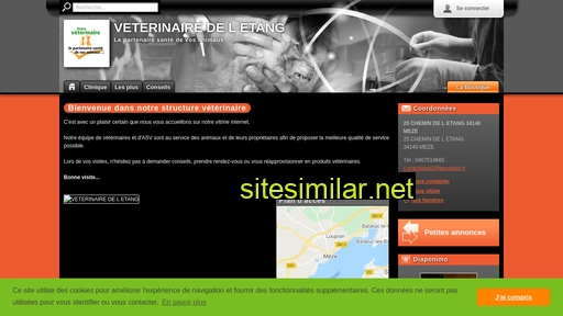 cliniqueveterinairedeletang.com alternative sites