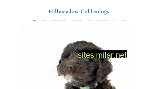 cobberdogsontario.com alternative sites