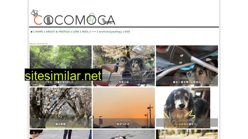 cocomoca.com alternative sites