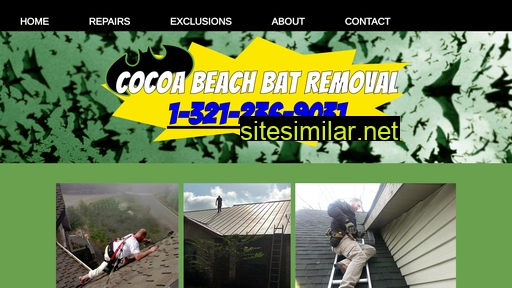 cocoabeachbatremoval.com alternative sites