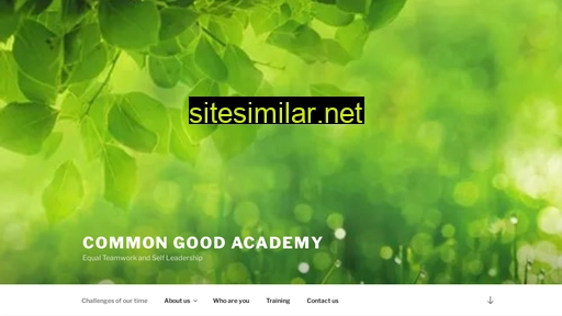 commongoodacademy.com alternative sites