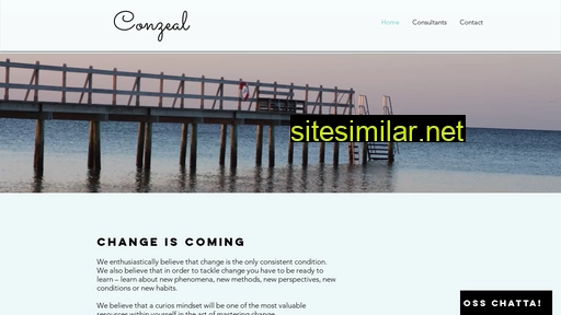 conzeal.com alternative sites