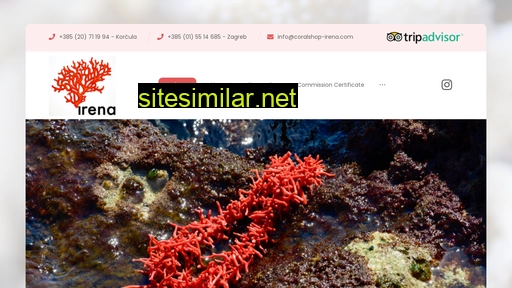 coralshop-irena.com alternative sites